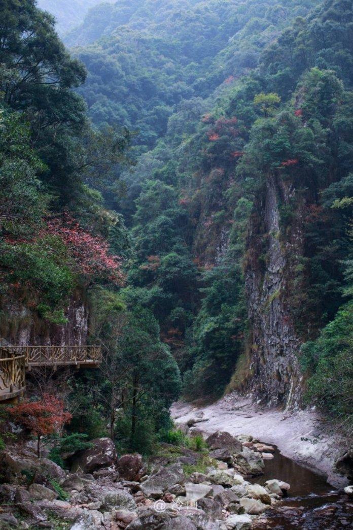 我的矿场